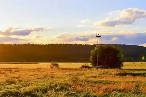 Sextreffen Wetteraukreis