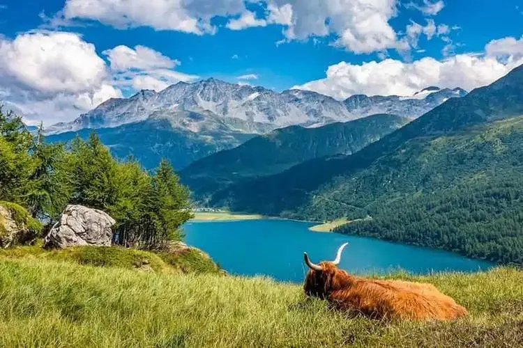 Sexkontakte Graubünden