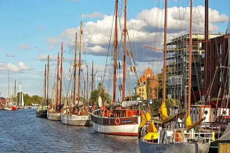 Single Greifswald
