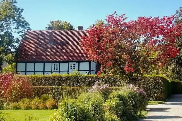 Erotik Gütersloh
