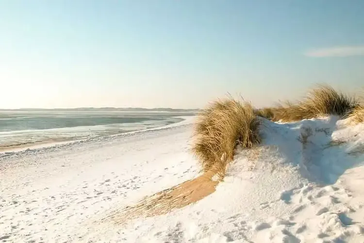 Sexkontakte Sylt