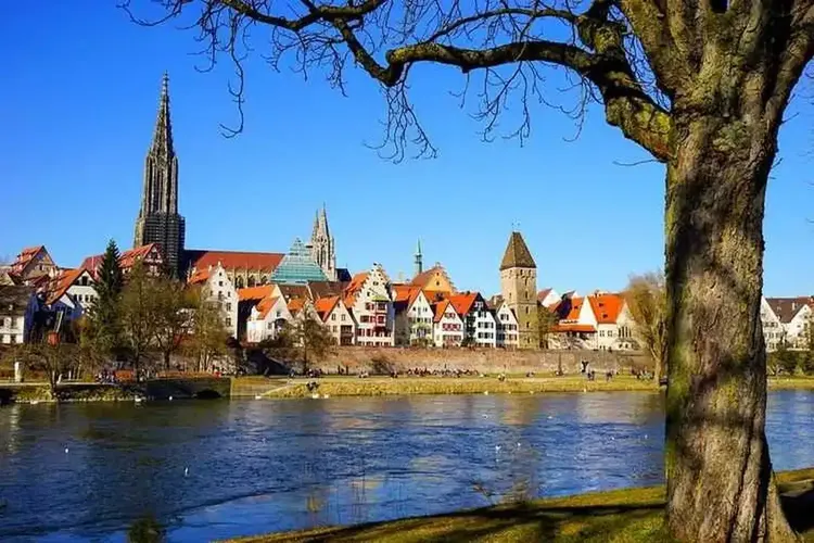 Single Ulm